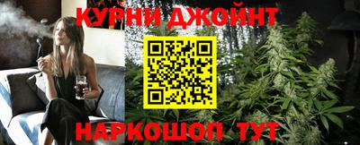 a pvp Камышлов