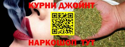 a pvp Камышлов