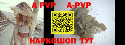 a pvp Камышлов